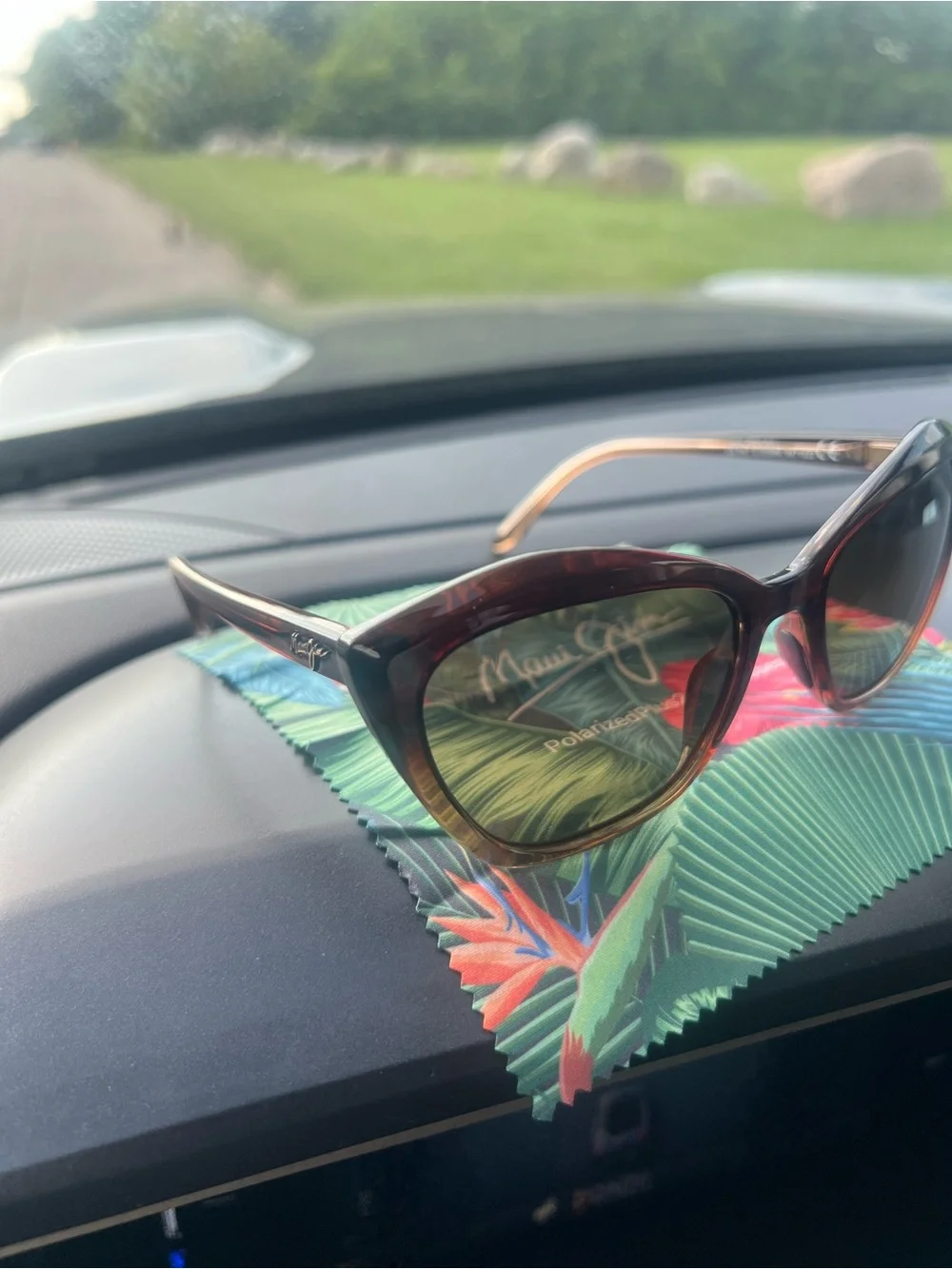 Maui Jim Black Frame Sunglasses with Brown Gradient Lenses